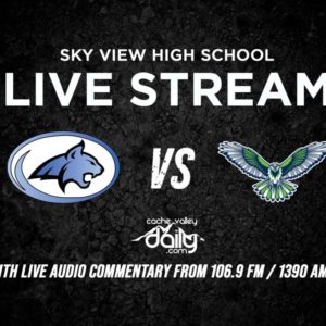 Sky View vs Ridgeline boys soccer – Cache Valley Daily