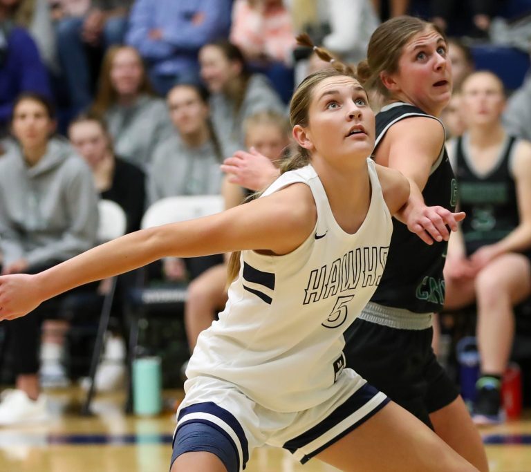 Ridgeline guard Emilee Skinner named Cache Valley Media Group Prep ...